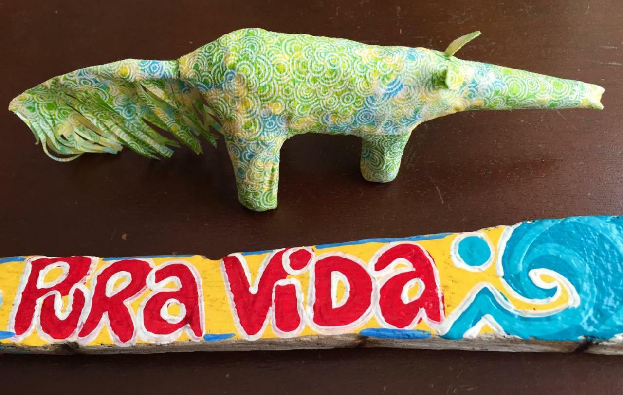 Chale Pura Vida Villa Sao Roque de Minas Ngoại thất bức ảnh